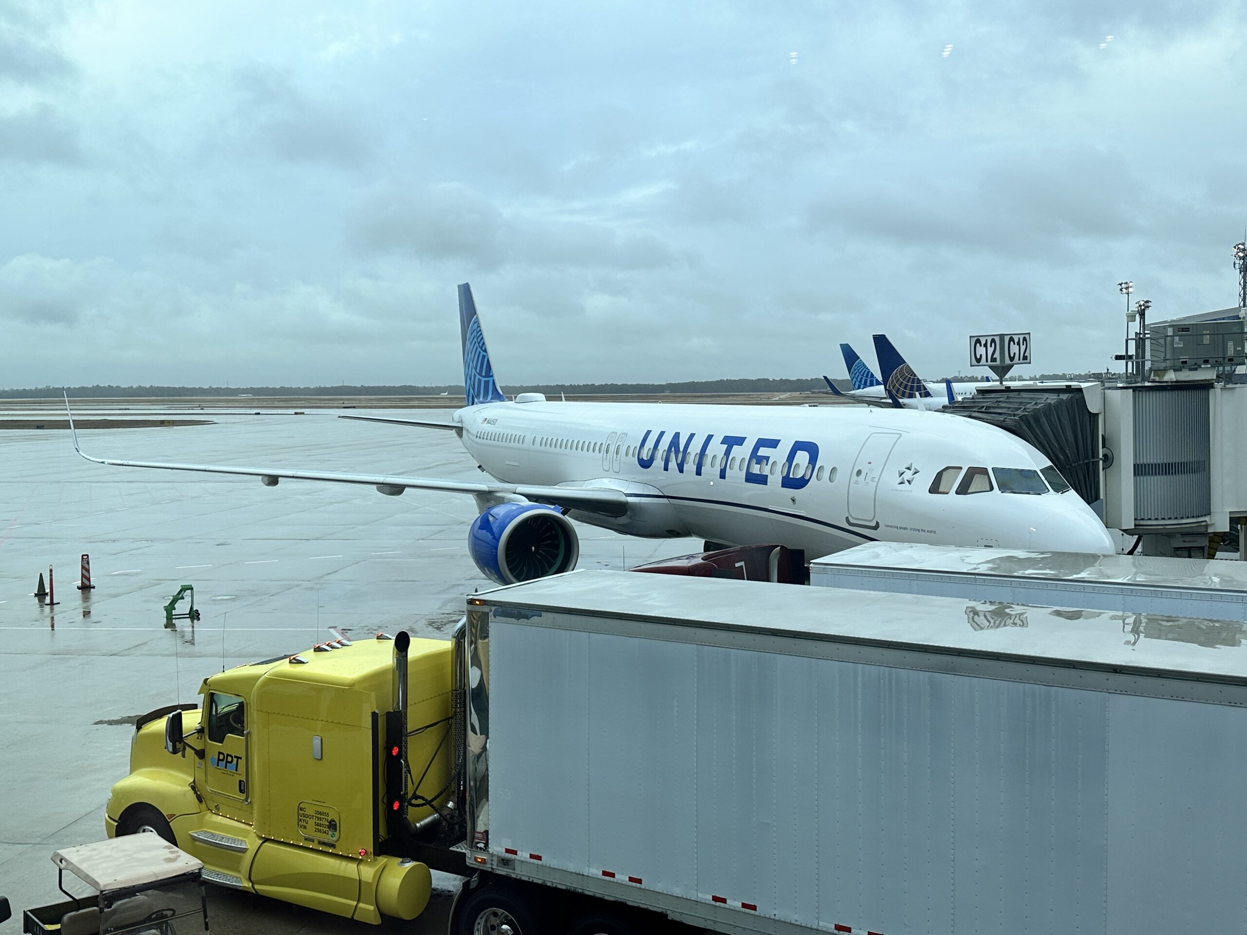 Photo of: United Airlines Airbus A321neo